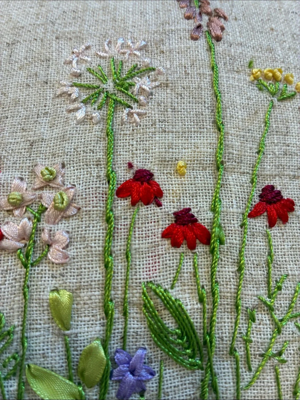 Set of 2 Ashland Embroidered Wildflower Floral Pillows with Crochet Trim, NWT